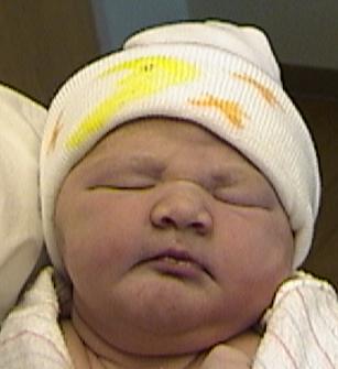 Dsc00029b.jpg (13680 bytes)