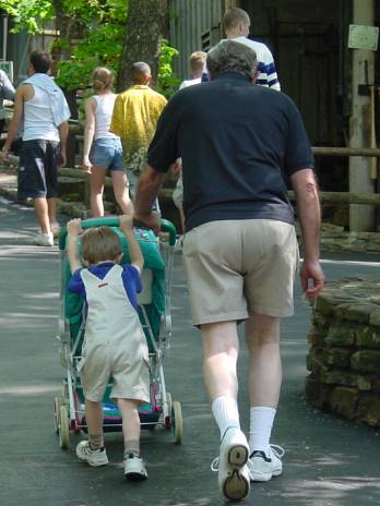 2001_05_375.jpg (27495 bytes)