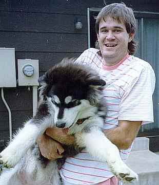 Athena.jpg (14826 bytes)