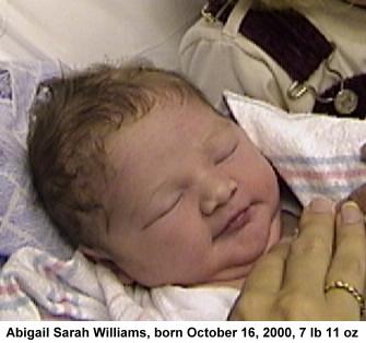 Dsc00035b.jpg (17079 bytes)