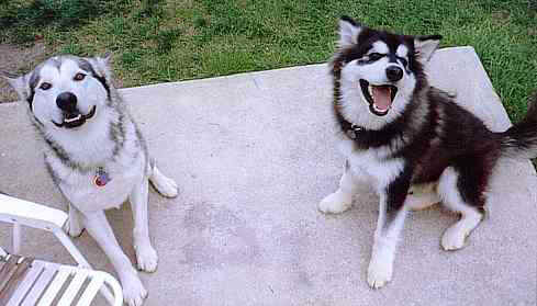 SmokeyAthena.jpg (17571 bytes)