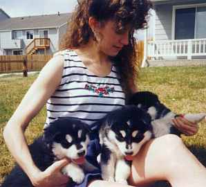 puppies03.jpg (12562 bytes)